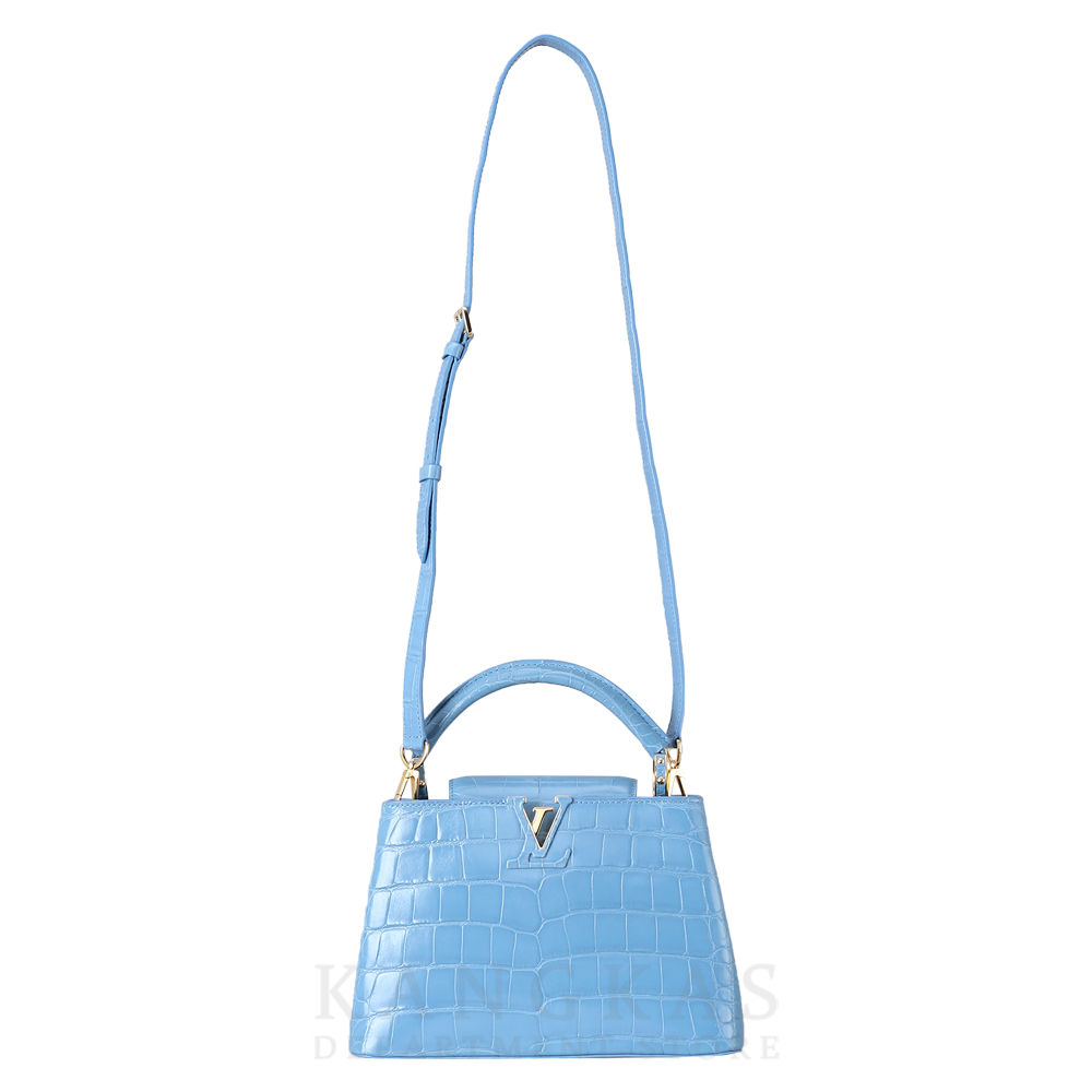 LOUIS VUITTON(USED)루이비통 와니 카퓌신 BB